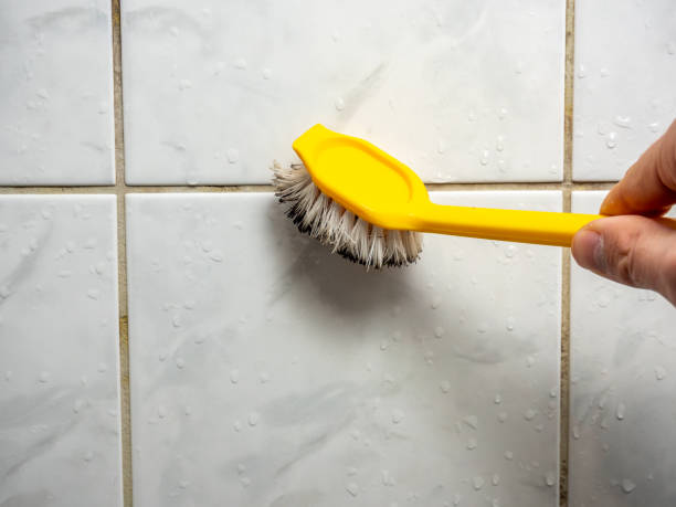 Best Mold Remediation for Schools in Hartley, CA